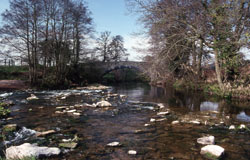 Tregate Bridge on River MonnowW.jpg